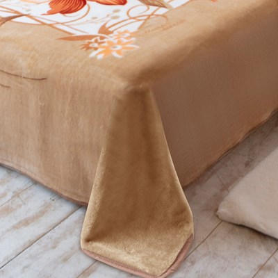 Cobertor Jolitex Raschel Casal 1,80 x 2,20m Molino